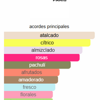 STARRY NIGHTS - MONTALE PARIS