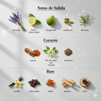 LE MALE - JEAN PAUL GAULTIER