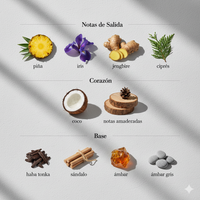 LE BEAU LE PARFUM - JEAN PAUL GAULTIER