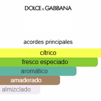 LIGTH BLUE POUR HOMME - Dolce&Gabbana