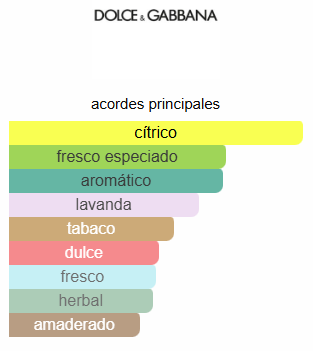 POUR HOMME - Dolce&Gabbana