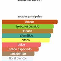 THE ONE FOR MEN - Dolce&Gabbana