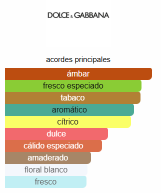 THE ONE FOR MEN - Dolce&Gabbana