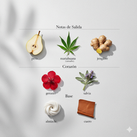 212 HEROES - CAROLINA HERRERA