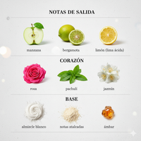 STARRY NIGHTS - MONTALE PARIS