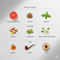 THE ONE FOR MEN - Dolce&Gabbana